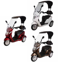 Scooter électrique à trois roues motorisé pour adultes, homologué CE, vitesse maximale de 30 à 50 km/h, tricycle électrique motorisé, autonomie de 70 à 90 km
