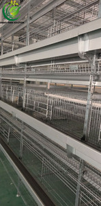 New Essential <strong>Used</strong> 90-200 Chicken One Set Poultry H-Type Galvanized Steel Layer Laying Hens Battery Automatic 4-Tier Long <strong>Cage</strong> - Product Image 3