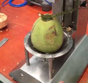 Máquina de procesamiento de coco comercial Máquina peladora de piel de coco verde automática - Product Image 5