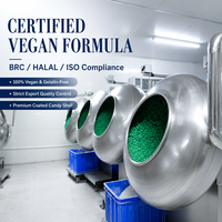 Direct Factory Groothandel BRC HALAL Gecertificeerd Vegan 18 Maanden Houdbaarheid Miljoenen Tientallen Soorten Kleine Kauwgommetjes voor Wereldwijde Merkbezitters