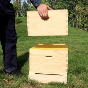 Matériel d'apiculture moderne Langstroth/Dadant, nouvelle ruche en bois profonde, nid d'abeilles - Product Image 2
