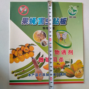 แผ่นกาวดักแมลงแบบใช้แล้วทิ้งสำหรับใช้ในบ้านและสวน - Product Image 3