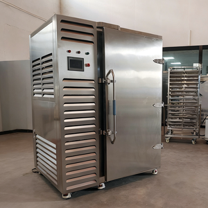 Di grandi dimensioni Rapido Congelamento di <span class=keywords><strong>Pasta</strong></span>/<span class=keywords><strong>Pizza</strong></span>/cibi Cotti Esplosione Refrigeratore Congelatore - Product Image 5