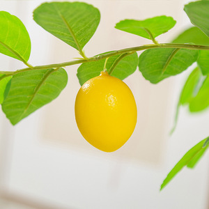 Decoración de sala de estar interior de estilo nórdico, simulación de árbol de limón verde, bonsái, adorno de planta Artificial en maceta - Product Image 4