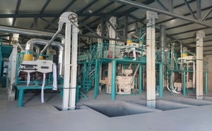 Ligne de production de farine de blé et de maïs automatique à commande PLC, usine complète de mouture de maïs pour usine céréalière - Product Image 5