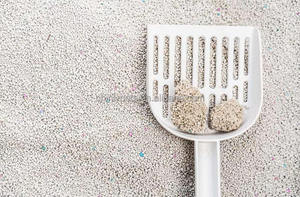 Arena para Gatos de Bentonita Aglomerante Instantánea Premium, Libre de Polvo, con Control de Olores y Características Ecológicas - Product Image 5