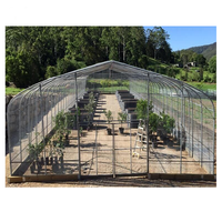 Serre hydroponique agricole tente en plastique monocouche avec acier et PE carré petit grand tunnel de tomates pour les serres