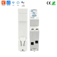 Interruptor Inteligente WIFI 1P+N con Medidor de Energía, Disyuntor Tuya Wifi con Medición de Voltaje, Corriente y Protección contra Fugas, Relé MCB