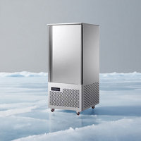 10/12/15/18-Trays Blast Coolers Réfrigérateur commercial rapide à refroidissement par air automatique pour le stockage du poulet