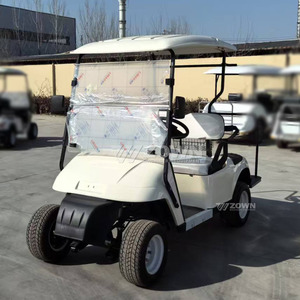 Carrito de golf estándar de 2 plazas color blanco crema con parabrisas para uso diario en villas, jardines y turismo. - Product Image 6