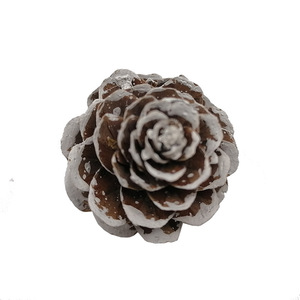 Adornos de Piñas de Pino en Miniatura de 1.5-4cm, Madera Seca Blanca, Decoración para Árbol de Navidad, Suministros para Manualidades - Product Image 5