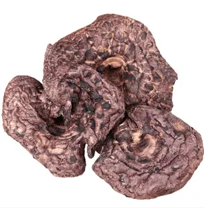 1 kg de champignons noirs sauvages séchés naturels, précieux, d'origine Yunnan, entiers - Product Image 1