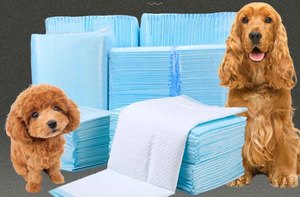 HHL HQF1300B Nóng Chảy Keo Không Dệt Pe Phim Thoáng Khí Tã Trở Lại Tấm Incontinent Pad Cán Máy - Product Image 6