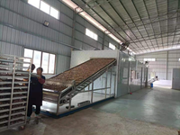 Industriële voedseldroogmachine met continu gaasband van 304 roestvrij staal voor fruit, groenten en chilipepers, PLC-gestuurd