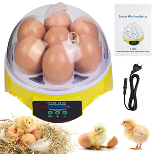 Hobby-incubadora automática de 7 huevos, máquina pequeña para incubar huevos, precio - Product Image 1