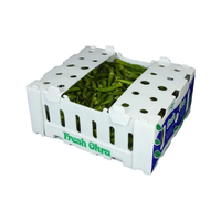 Boîtes d'emballage pour légumes frais, boîtes en plastique ondulé PP, boîte à okra, boîtes d'expédition blanches à vendre