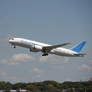 Ddu Rederij Air Vracht Expediteur Douane Inklaring Product Export Snelle Tarieven Betrouwbare Logistiek Bedrijf Import - Product Image 3