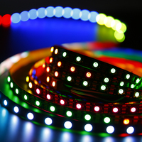 Cadena de Luces LED RGB 5050 Digitales Programables, Control DMX512, Clasificación IP65 para Uso en Interiores/Comercial, Iluminación de Escaleras