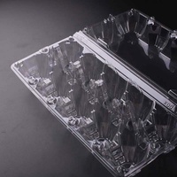 10 cellules Jumbo grands oeufs de caille plateau en plastique Carton conteneurs à bas prix PET
