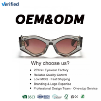 Lunettes de soleil rétro unisexes de style œil de chat marron avec protection UV400 pour les activités de plein air