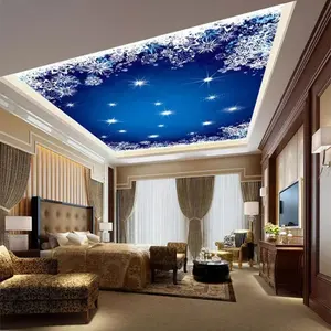 Decorative pvc decorative hanging ceiling panels stylish stretch ceiling