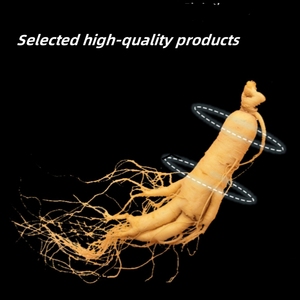 Factory Direct <strong>Sale</strong> High Quality Ren Shen Fen <strong>Ginseng</strong> Tea Fresh Root <strong>Powder</strong> Energy Drink Bulk Sachet Packaging Health Tea - Product Image 6