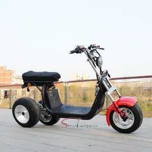 Eu Kho Citycoco Động Cơ Xe Tay Ga Điện Citycoco Eec Người Lớn Xe Máy Điện 3 Bánh Xe Ba Bánh Moto Chopper