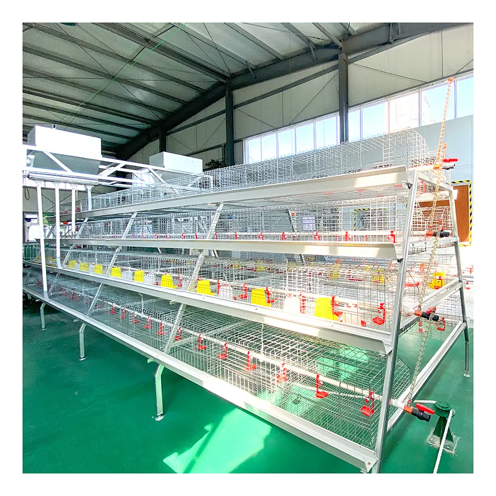 Hot Sale Brooder House Equipment Battery Cages Fpoultry Feeders And Drinkers For Nigeria Chickens Layers In Nigeria