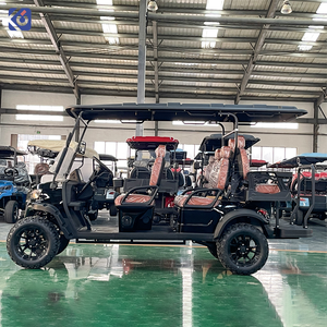 Voiture de golf électrique personnalisée homologuée pour la route, certifiée CE, avec batterie au lithium, pour le camping et les terrains de golf tout-terrain - Product Image 3