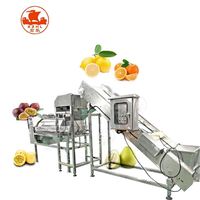 Stekelige Peer Passievrucht En Draak Fruit Schillen Arils Verwerkingsmachine Lijn Industriële Granaatappel Wassen Schilmachine