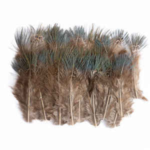 80 Plumes de faisan de couleur naturelle - Product Image 4