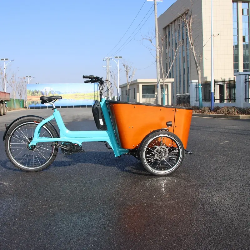 48V 500W Nieuw Ontwerp Met Een Nieuwe Look Elektrische Bakfiets 3-wielige Elektrische Bakfiets