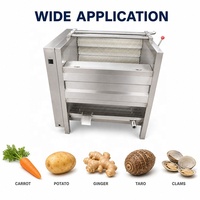 Automatische borstelrolwasmachine van SUS304 roestvrij staal voor het wassen en schillen van aardappelen, gember, wortelen en andere wortelgewassen