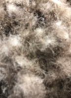 30% de duvet de canard gris lavé multi-usages certifié OEKO