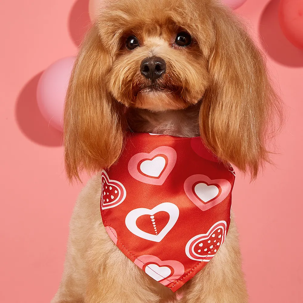 2024, новый дизайн, слюнные салфетки для домашних животных, однослойные треугольные шарфы на день Святого Валентина