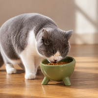 Bol pour chat en forme de patte d'éléphant, anti-renversement, profond, 90 mm, ergonomique, facile à nettoyer, pour l'alimentation des chats et des chatons
