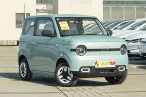 Geely Panda Mini Auto Cinese <span class=keywords><strong>3</strong></span> Porte 4 Posti, Auto per Adulti in Vendita, Modello Geely Panda 2025 Versione 210km, Panda Mini Energizing Bear - Product Image 2