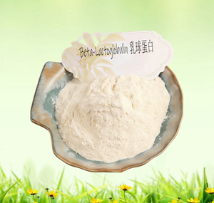 Beta Lactoglobulina <span class=keywords><strong>di</strong></span> Grado Alimentare 98% da Latte <span class=keywords><strong>Bovino</strong></span> - Product Image 2