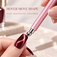 Outil professionnel pour vernis à ongles à double tête aimantée effet œil de chat pour salon de beauté, spa des ongles, studio de manucure, accessoires de manucure, vente en gros