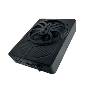 OEM ซับวูฟเฟอร์แบบคอยล์เดี่ยว<span class=keywords><strong>10</strong></span>นิ้ว, ซับวูฟเฟอร์แบบแบน DC 12V ซับวูฟเฟอร์ใต้ที่นั่งซับวูฟเฟอร์ - Product Image 2