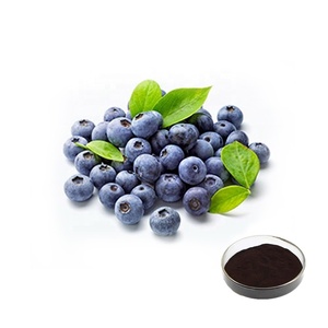 high quality huckleberries extract whortleberry extract european