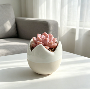 Maceta de Cerámica con Diseño de Tulipán, para Plantas, con Relieve Floral, para Interiores, Suculentas, Decoración del Hogar y Regalo de Boda, Venta al Por Mayor - Product Image 4