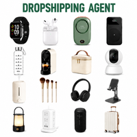 Agent de dropshipping professionnel : Produits de dropshipping très demandés avec intégration Shopify et services de fulfillment d'ordres rapides