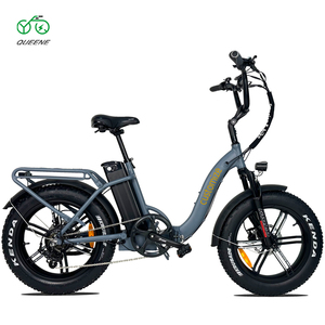 QUEENE/électrique Super puissant vitesse maximale 50km 1000w moteur vélo adulte Ele 20 pouces hors route gros pneu 48v 70km vélo électrique - Product Image 3