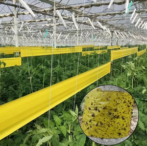 Nhà máy nóng bán mạnh mẽ băng dính cho côn trùng kiểm soát trong nhà kính vườn côn trùng bẫy - Product Image 6