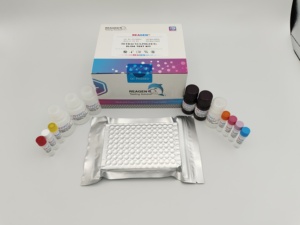 Nhanh chóng tetracycline Elisa <span class=keywords><strong>Kit</strong></span> kiểm tra cho kháng sinh phát hiện trong sữa, thịt, thức ăn, mật ong (rnd99025) - Product Image 4