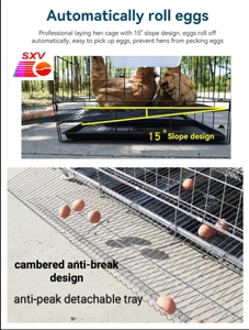 Jaula plegable <span class=keywords><strong>de</strong></span> 150x60x70cm para <span class=keywords><strong>huevos</strong></span> <span class=keywords><strong>de</strong></span> <span class=keywords><strong>gallina</strong></span> - Product Image 2