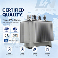 Transformateur de puissance immergé dans l'huile Leineng 1 MVA pour centrale solaire – Transformateur complet pour entrepreneurs EPC étrangers