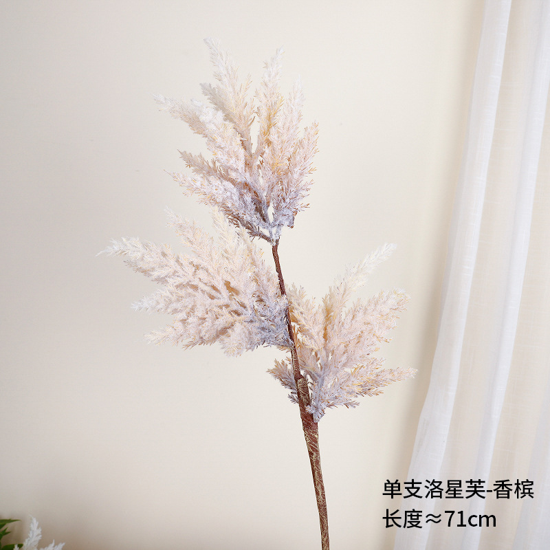 Botella individual de Rocinha (color champagne)