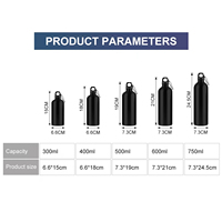 Bouteille d'eau de cyclisme en aluminium écologique personnalisée portable avec isolation thermique pour les sports de plein air et le camping